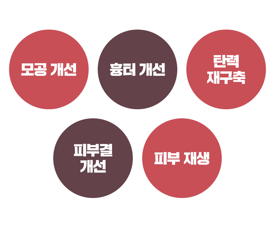 제니바_프락셀_06.jpg