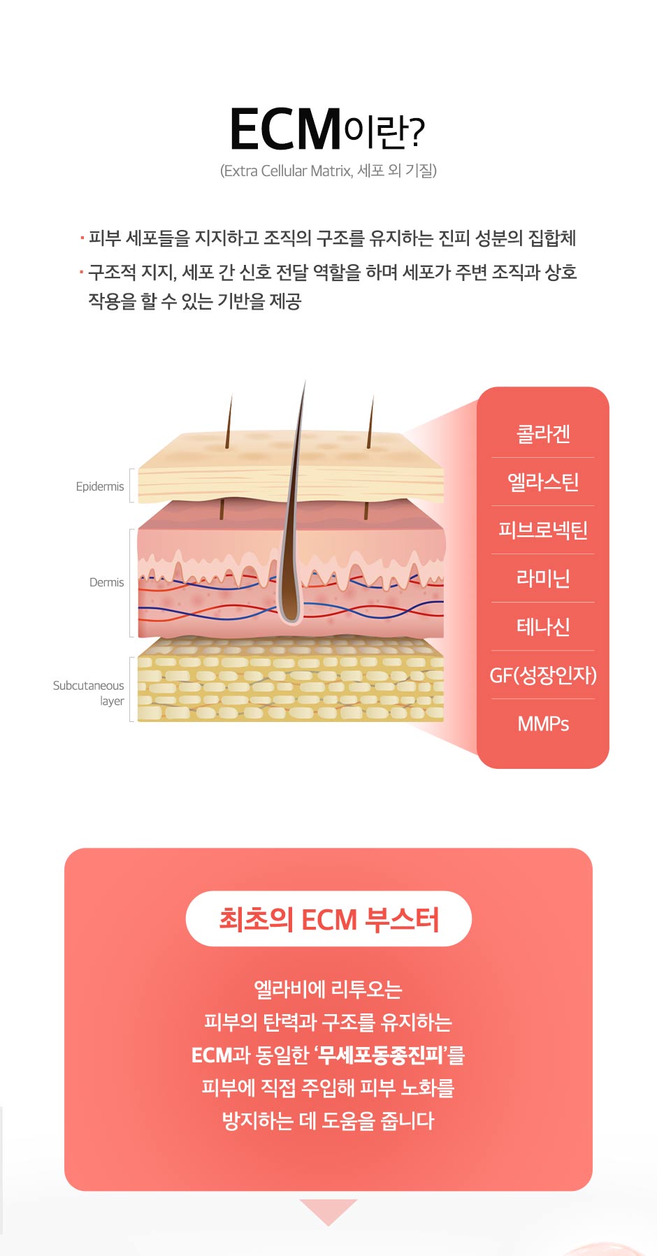 엘라비에리투오_03.jpg