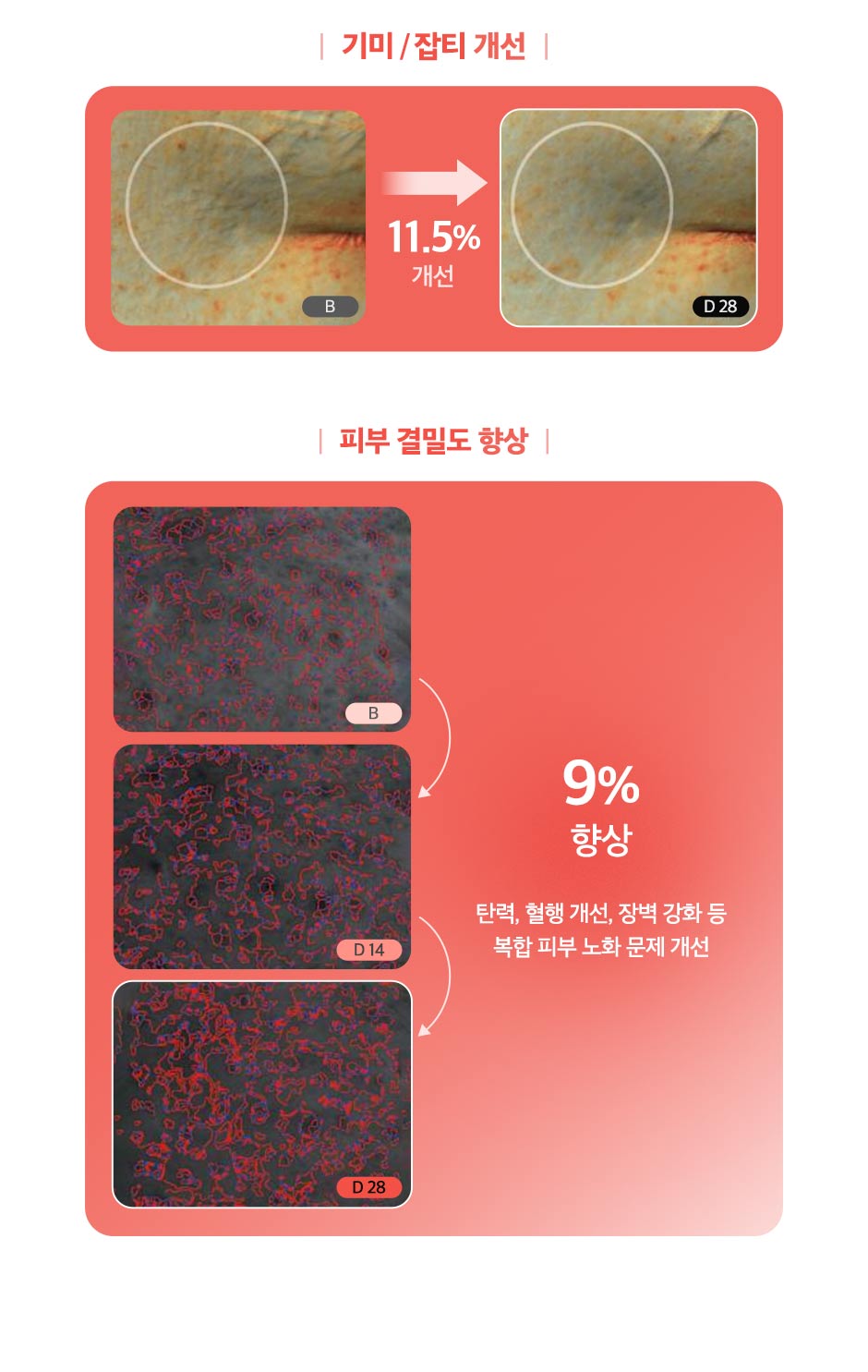 엘라비에리투오_05.jpg