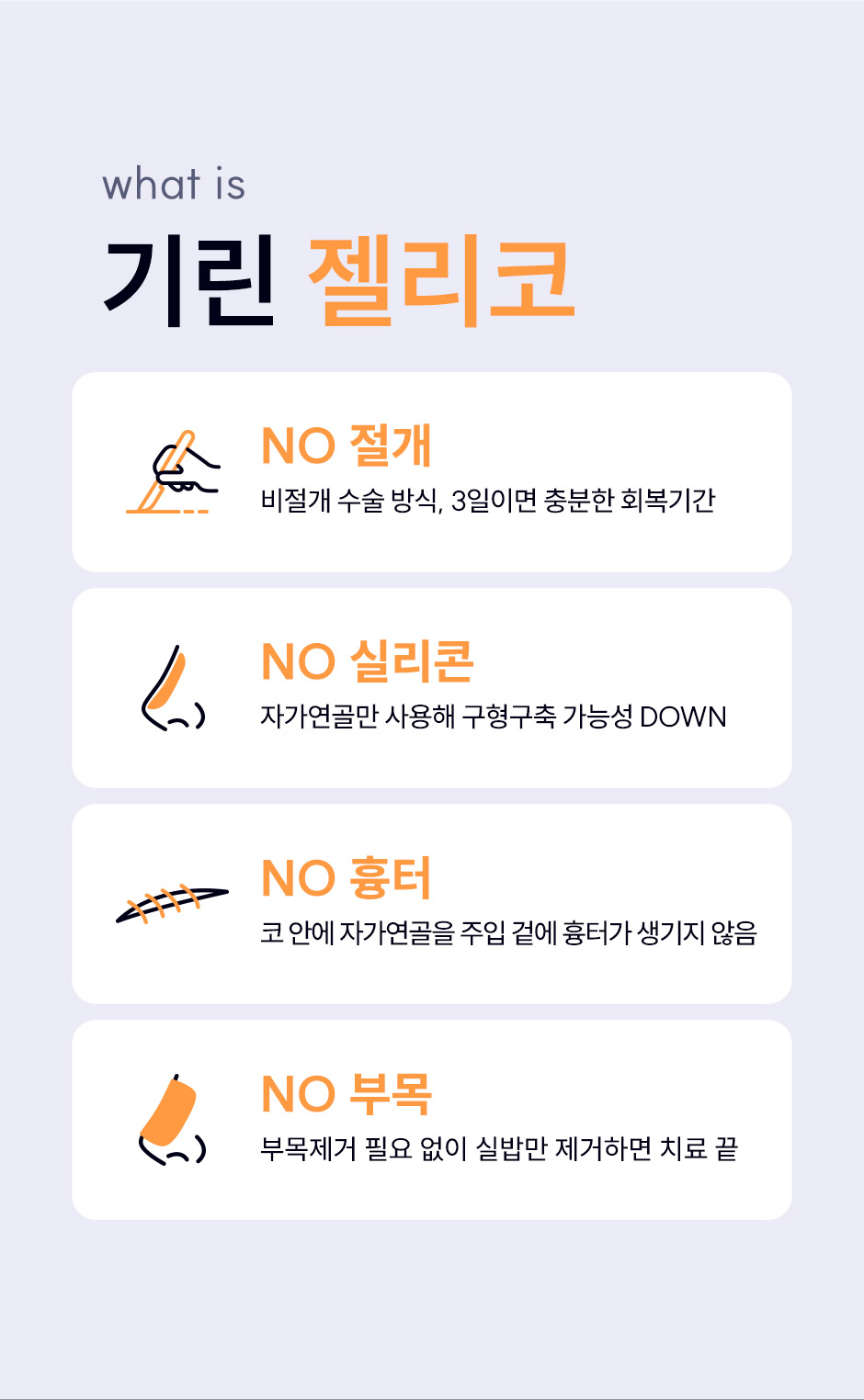 젤리코_미인하이_06.jpg