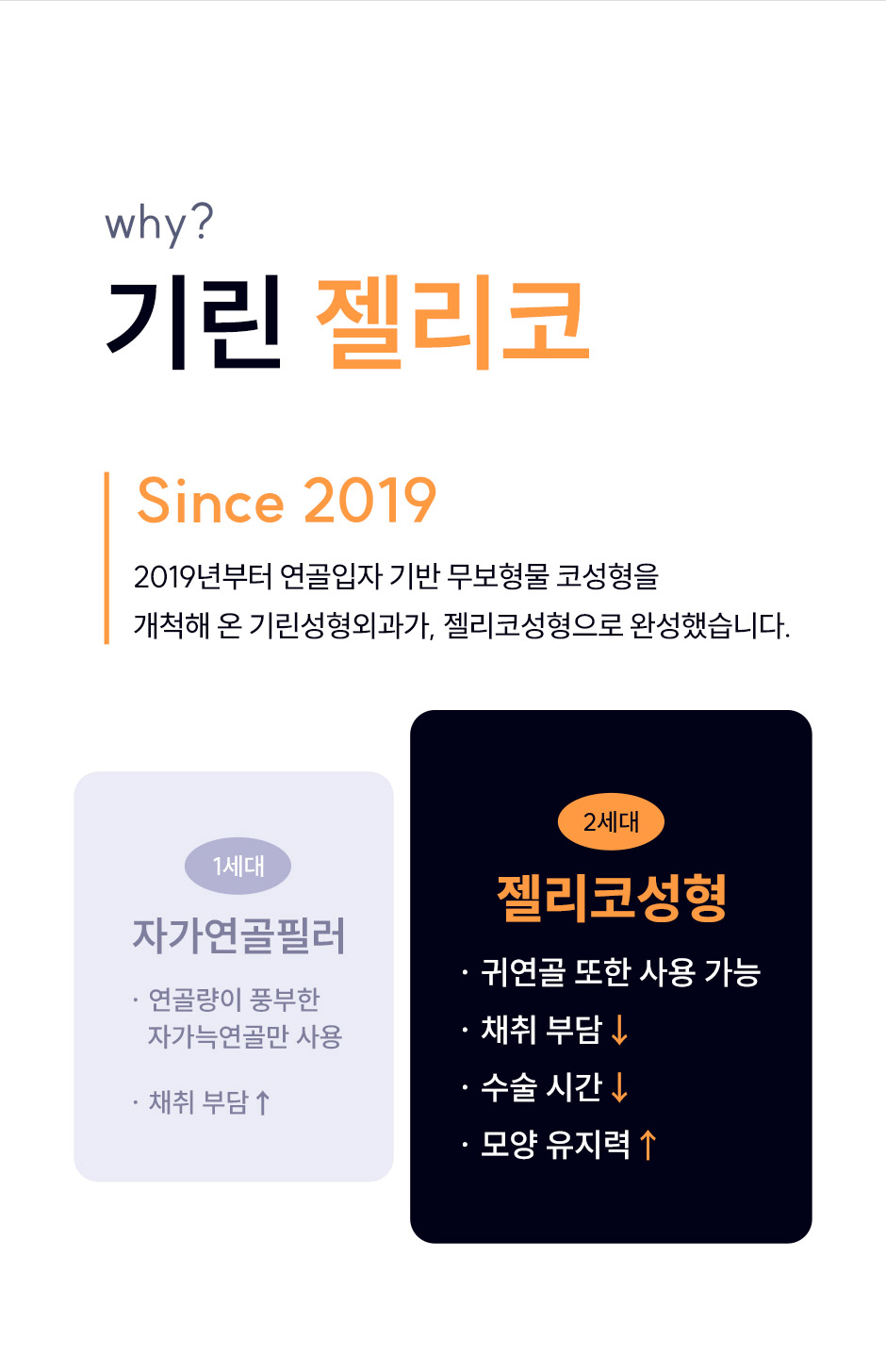 젤리코_미인하이_11.jpg