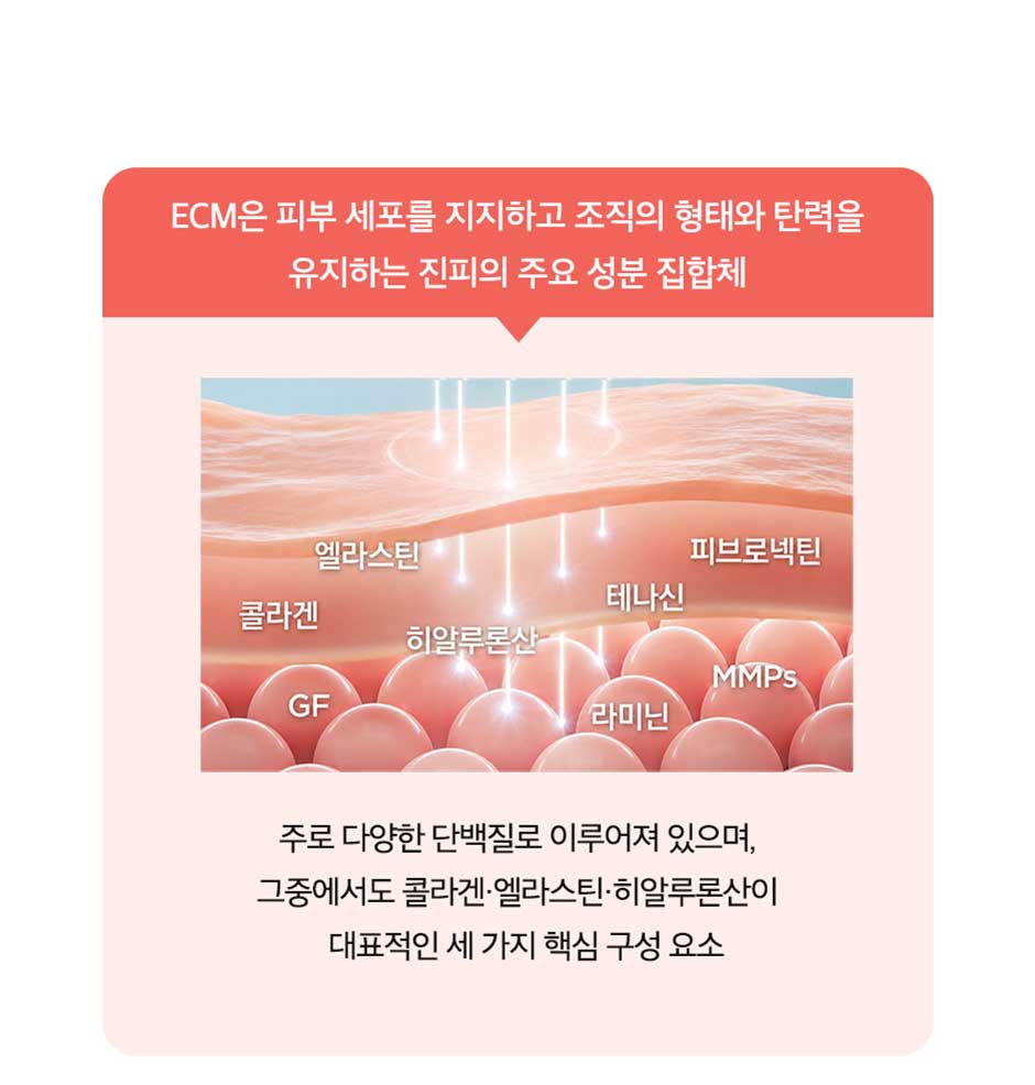 엘라비에리투오_미인하이_04.jpg