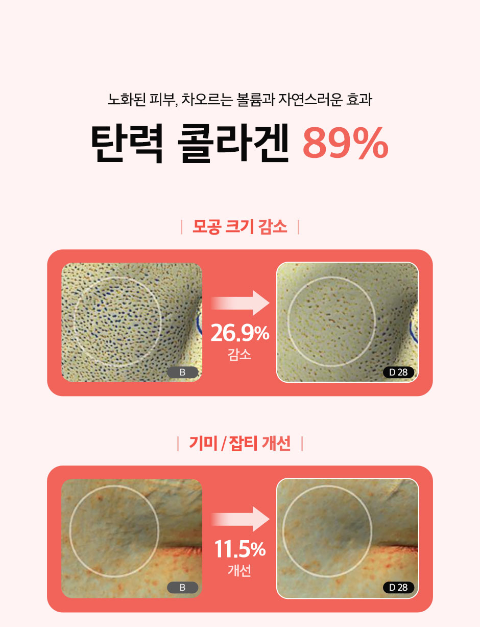 엘라비에리투오_미인하이_08.jpg