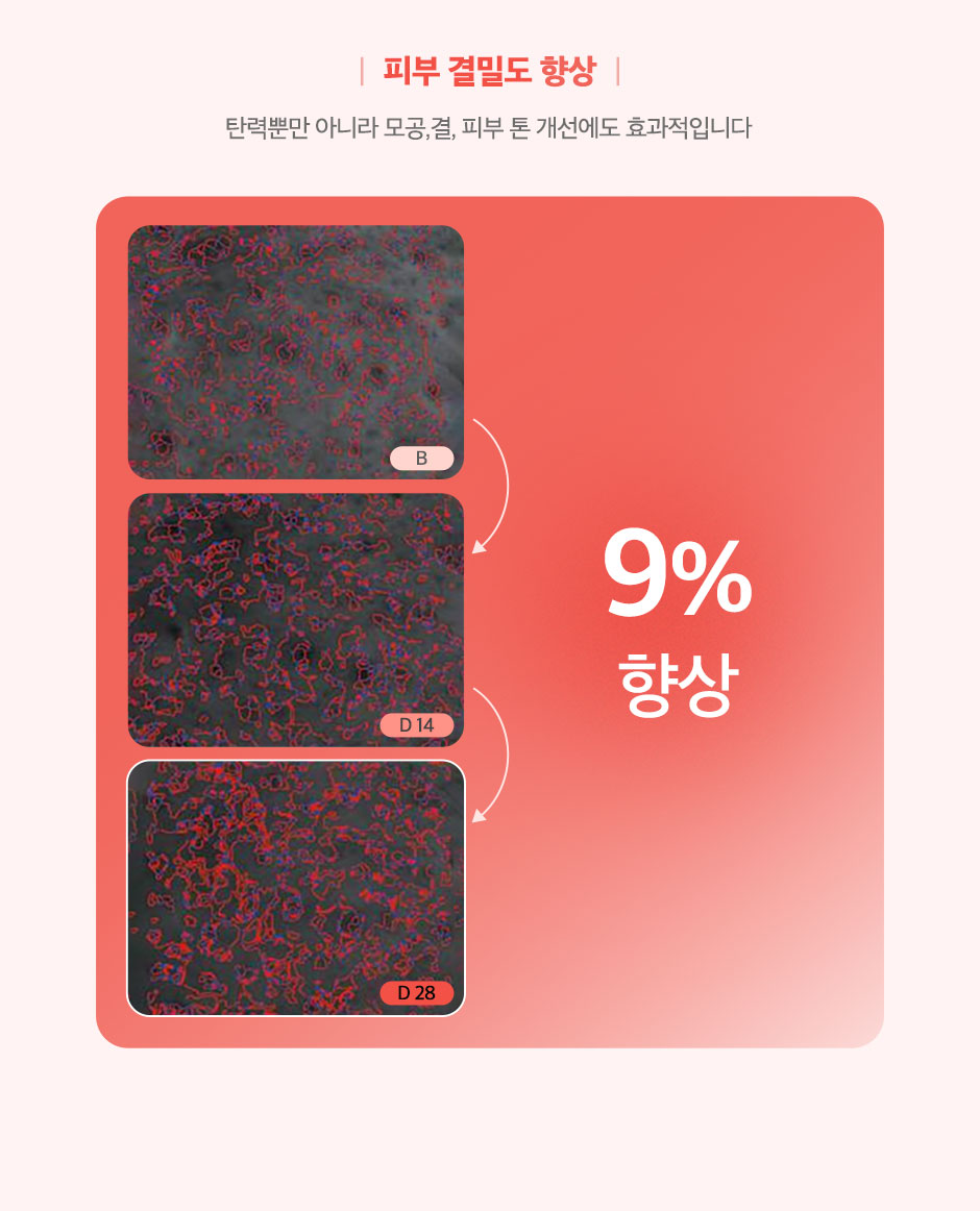 엘라비에리투오_미인하이_09.jpg