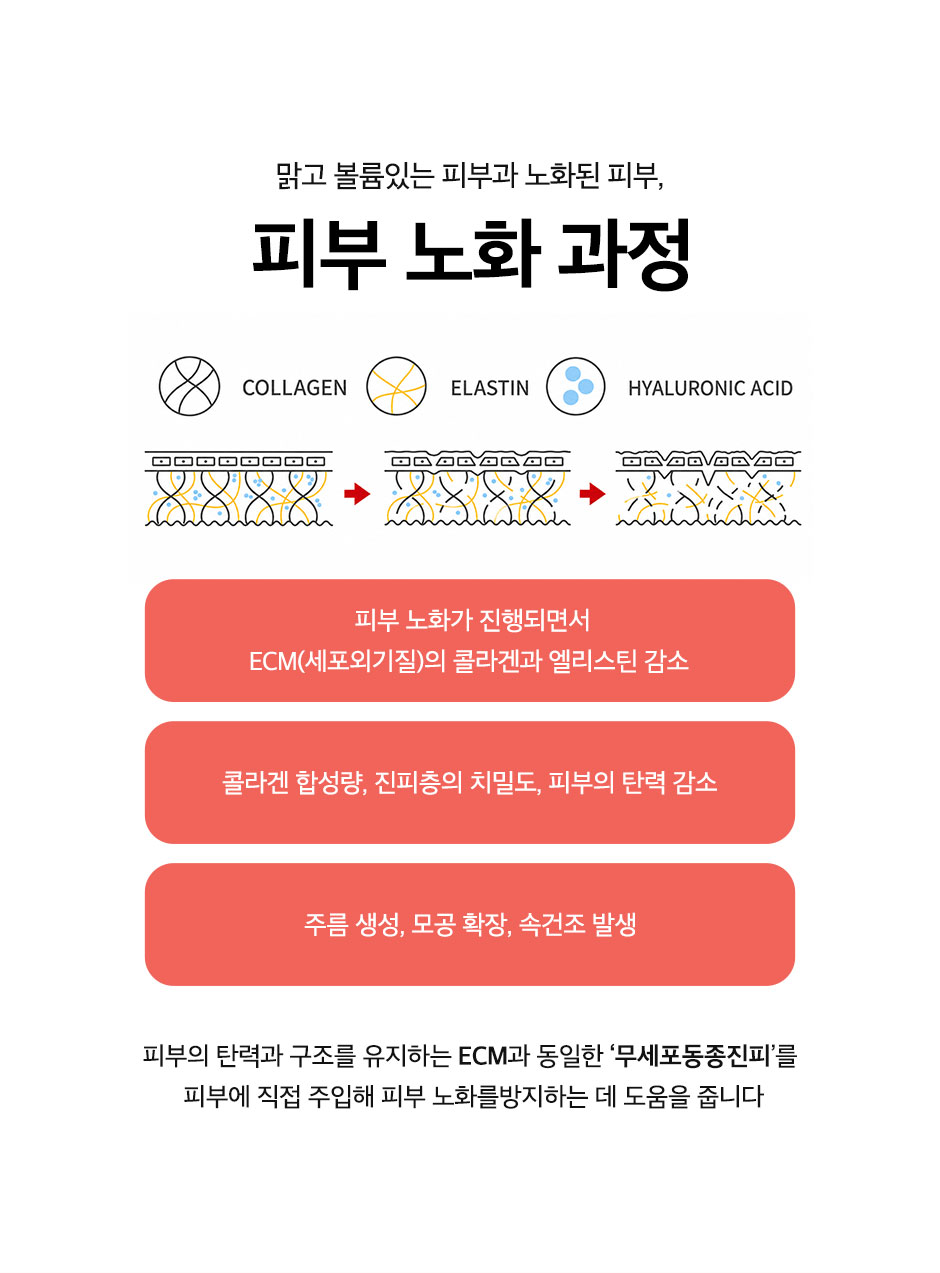 엘라비에리투오_미인하이_07.jpg