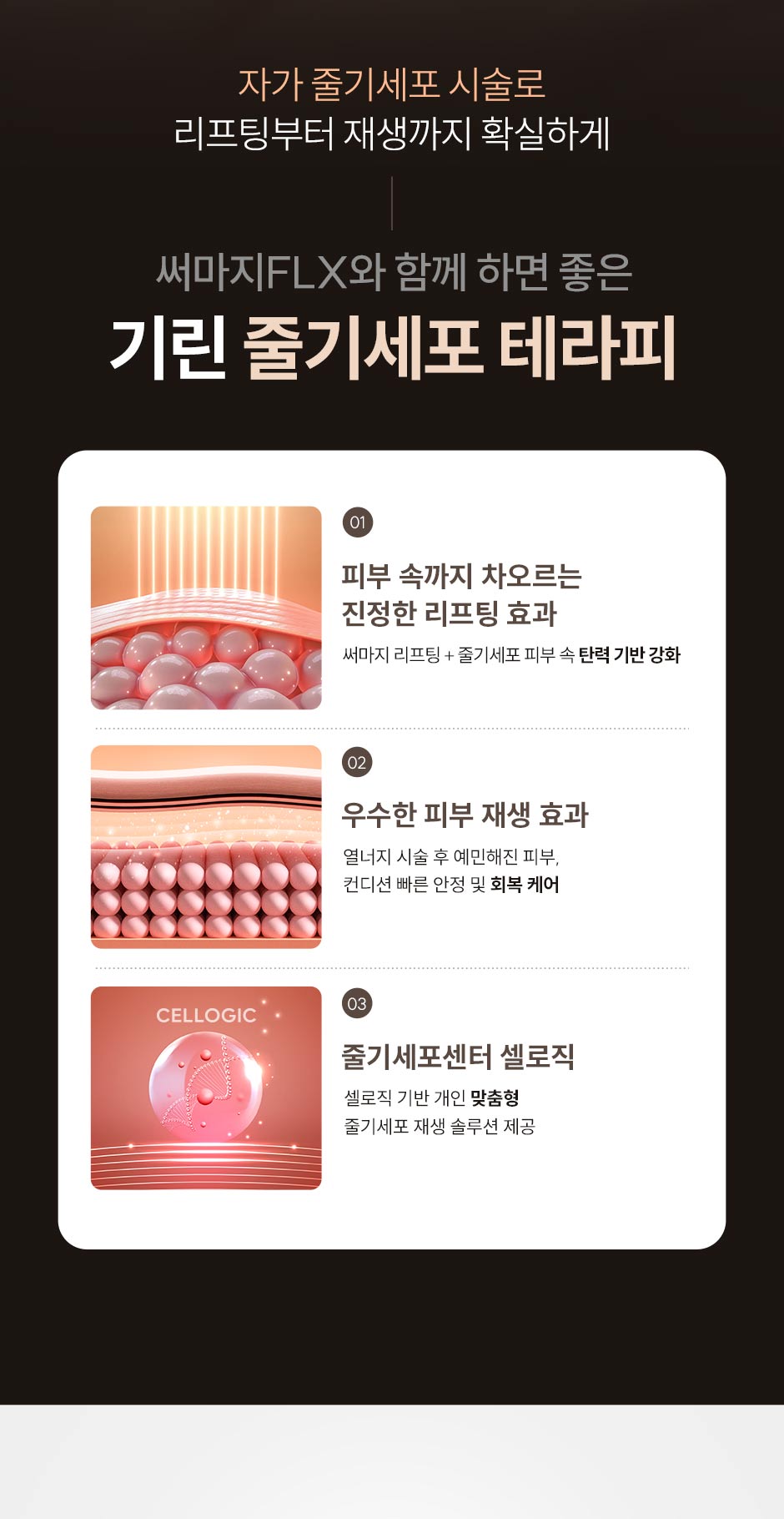 일요일써마지_미인하이_05.jpg